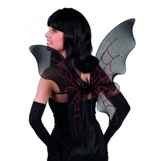 Gekleidet WINGS (2st.)