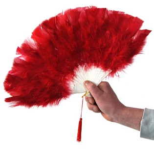 Pl&uuml;schhand FAN (12st.)